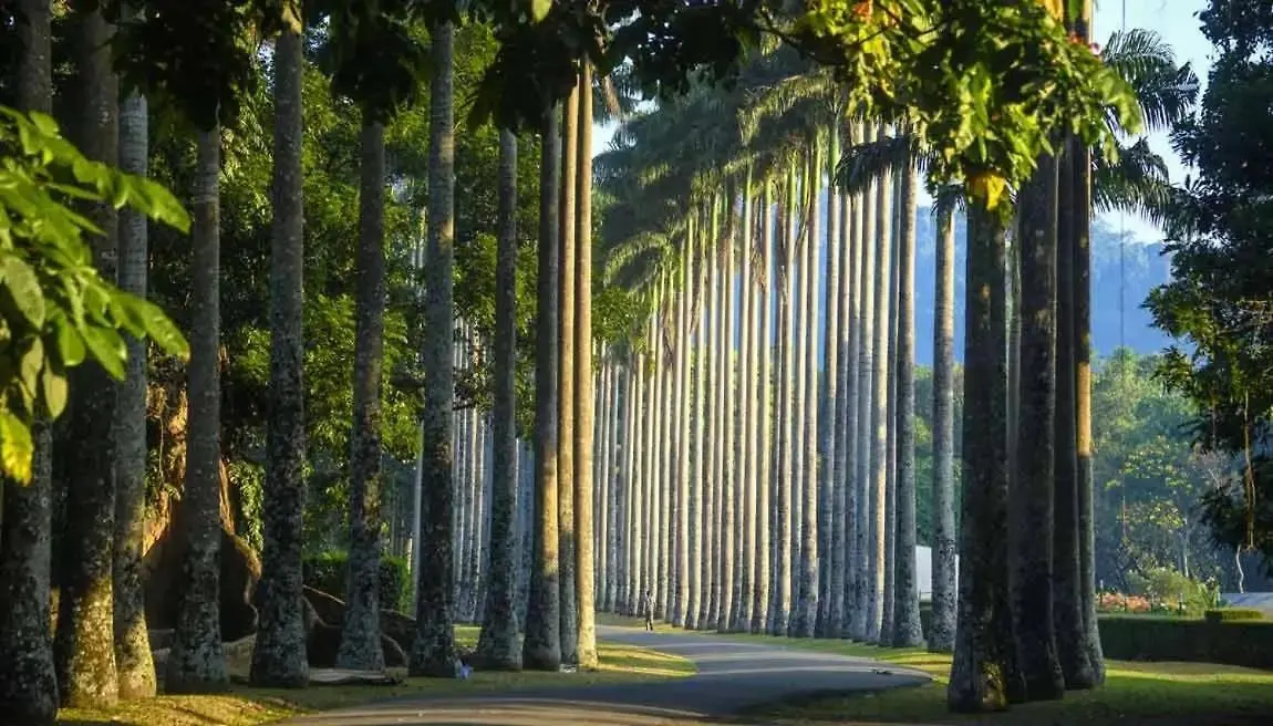 Serene Home Kandy